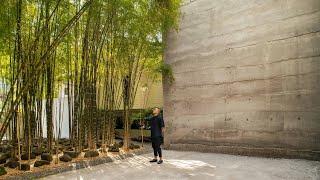 This House Behind A Bamboo Forest Reveals A Mysterious Cinema  Manila Philippines