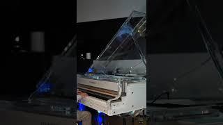 Stunning Crystal Steinhoven Grand Piano  Demo  #pianosolo #concert #bösendorfer #kawai #shorts