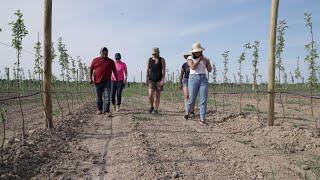 In the Orchard I Am Free Spanish - Rosario Brothers Farms