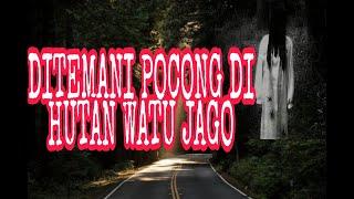 THE MYSTERY OF THE WATU JAGO FOREST  Accompanied by POCONG  THE MYSTERY OF THE GUWING WELL