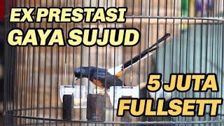 5 JUTA FULSETT - MURAI EX PRESTASI GAYA SUJUD