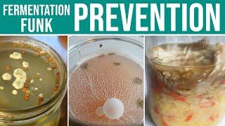 FERMENTATION FUNK PREVENTION - Video #5 in the Series