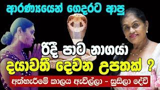 #බඹරා TV #සුසිලා කෝට්ටගේ #කෝපිකඩේ දයාවතී #Susila Kottage #තප්පර පහෙන් රටම අල්ලන හයියක් #Bambara TV