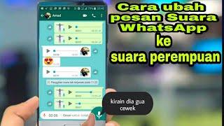 How to Change WhatsApp Voice Messages to Voices for Girls or Boys Many Versions of Choice