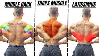 TOP 5 LAT MIDDLE BACK TRAPS WORKOUT WITH DUMBBELLS  CABLE AND MACHINE  AT GYM