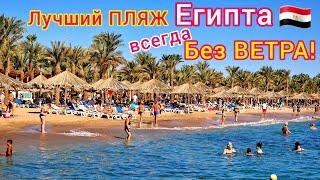 ЛУЧШИЙ пляж в Египте  Мы в ШОКЕ️Пляж отеля Sharm Dreams Resort 5* бухта Наама Бей Шарм эль Шейх