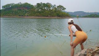 Best Hook Fishing  Big Tilapia  Amazing Fishing