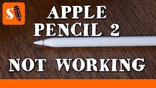 Apple Pencil 2 Not Working - SOLUTIONS