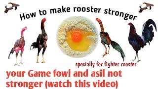 How to make rooster stronger  Best diet for  rooster  Best diet for Aseel