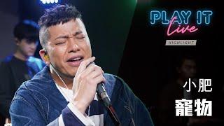 《 寵物 》 小肥 丨 Play It Live - Round 47