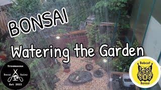 Watering the Bonsai Garden #new #gardening #vibes #trending