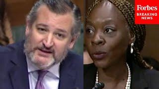 How Many Members Of The US Senate Are White Supremacists? Ted Cruz Grills Biden Judicial Nominee