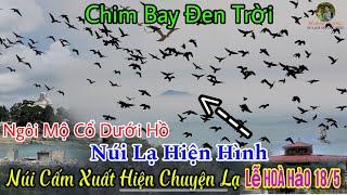 Vùng Thất Sơn Núi Cấm Xuất Hiện Chuyện Lạ Chim Bay Trong Đại Lễ 185 Khai Sáng Đạo Phật Giáo Hoà Hảo