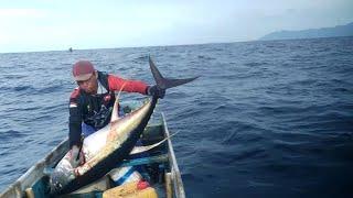 MENANGKAP IKAN TUNA SIRIP KUNING yellowfin tuna