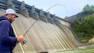 Fishing Below a Massive Dam For Anything That Will Bite