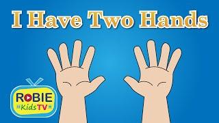 I Have Two Hands  Nursery Rhymes for Children  Animated Kids Song