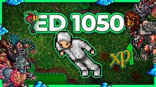 ED 1050 Hunt Solo Ingol Surface No Runes 5.4kkh Raw + 2kk Profit - Tibia Hunt 13.40 #tibia