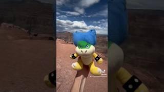 Ludwig at The Grand Canyon ️LOOK AT IT ️ #supermario #supermariobros #funny #look #mario