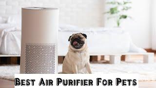 Top 5 Best Air Purifier For Pets In 2023