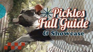 Pickles Full Guide and Showcase  Reverse 1999