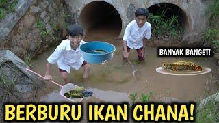 DRAMA BERBURU IKAN CHANA DI KALI YANG KOTOR BARENG OKEM