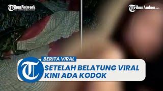 Meresahkan Adegan Intim Perlihatkan Katak Keluar dari Vagina Viral 24 detik di Tik tok dan Twitter