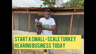 How To Start A Small Scale Turkey Farming In Nigeria