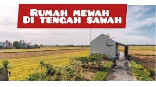 Rumah mewah di tengah sawah