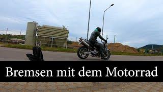 360GradMotorrad - Fahrsicherheit Bremsen  Tier auf der Bremse