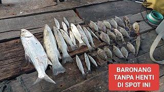 INI DIA LOKASI MANCING IKAN BARONANG DI BELAWAN  TANDAIN SEGERA mancing di Belawan terbaru..