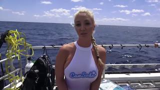 Porn Star Attacked By Shark During Underwater Photoshoot