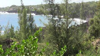 Man bitten by shark at Kehena Beach