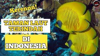 Inilah Taman Laut TERINDAH Di Indonesia