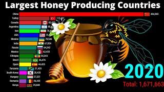 Top Honey Producing Countries  Honey Production by Countries  1960-2020 