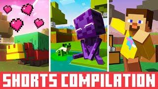 Best Minecraft Shorts  Minecraft Animation Compilation  1 Million Special