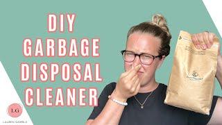 How To Clean a Garbage Disposal  NON TOXIC DIY