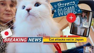 Life in Japan Cat Attacks Vet and Shopping Haul