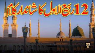 12 Rabi Ul Awwal Naat - Eid Milad Un Nabi 2024 - Best Kalam Milad Sharif @tehzeebpk7543