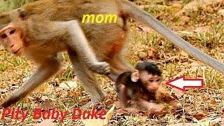 Why Why Young Mom Duchess Doing Like This on Poor Baby Duke?  Much Pity Baby