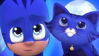 Catboy Turns into a REAL cat?  PJ Masks