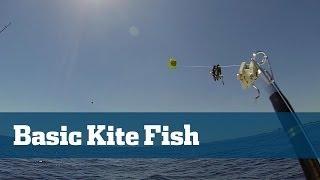 Kite Fishing 101 - Florida Sport Fishing TV - A Great Video For Novice South Florida Sailfishermen