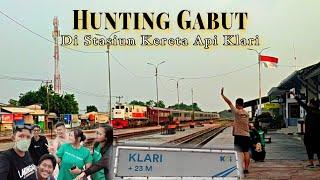 Hunting Gabut Kereta Api Di Stasiun Klari Kabupaten Karawang ‼️