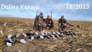 Dolina Kakaju 182023  Polowanie na gęsi. #goosehunting #goosehunt