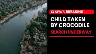 Child missing reportedly attacked by crocodile in remote NT  ABC News