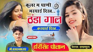 hari singh dholan  कुलर मैं पाणी भरयाई दिख ठंडा ठंडा गाल करयाई दिख।। harisingh Dholan meena song