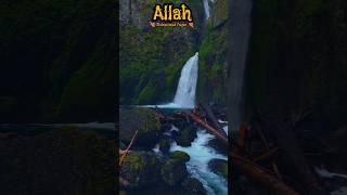 QURAAN ️ #viral #video #trending #trendingshorts #shortsfeed #shorts #short #islamic #quran #islam