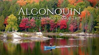 Beautiful 4-Day Solo Wilderness Camping Trip in Algonquin Park