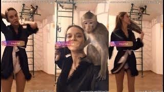 Shkolnisa Russian Girl Looks Like Angelina Jolie  HD Live  Dance With Monkey  Watch Until Ends