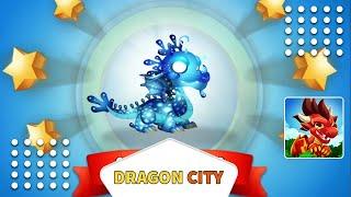 Dragon City Gameplay Walkthrough Part 4 Unlocked Plankton Dragon