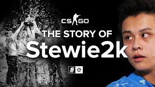 The Story of Stewie2k From Pug-Star to Superstar